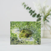 Carte Postale Yeux de grenouille (Debout devant)