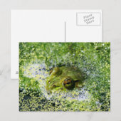 Carte Postale Yeux de grenouille (Devant / Derrière)