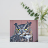 Carte Postale Yeux de hibou (Debout devant)