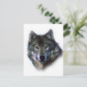 Carte Postale Yeux de loup gris (Debout devant)