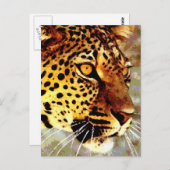 Carte Postale Yeux du léopard (Devant / Derrière)