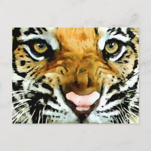 Carte Postale Yeux du tigre