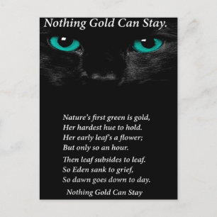 Carte Postale Yeux fixes