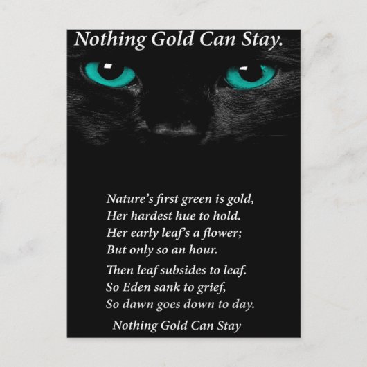 Carte Postale Yeux fixes (Devant)