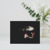 Carte Postale Yeux Noirs (Debout devant)