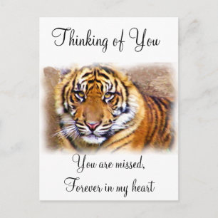 Carte Postale Yeux qui voient_