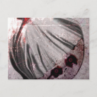 Carte Postale Yeux rouges