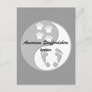 Carte Postale yin yang american staffordshire terrier
