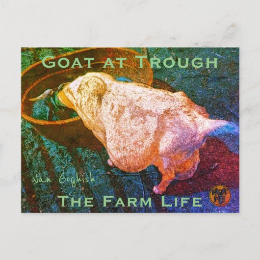Carte Postale YNOTME VAN GOGHISH GOAT AT TROUGH2a (Devant)