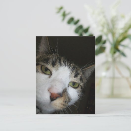 Carte Postale Yo ! (Debout devant)