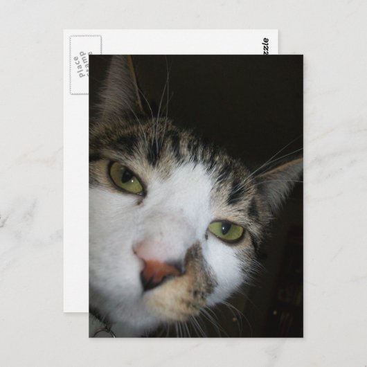 Carte Postale Yo ! (Devant / Derrière)