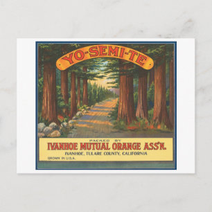 Carte Postale YO-SEMI-TE Étiquette Vintage Fruit