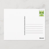 Carte postale Yoga de grenouille (Dos)