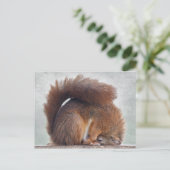 Carte postale Yoga Squirrel (Debout devant)