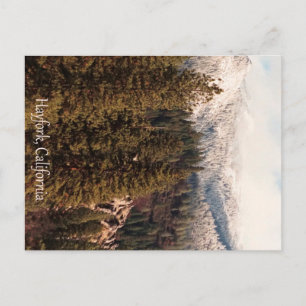 Carte Postale Yolla Bollies avec de la neige fraîche...