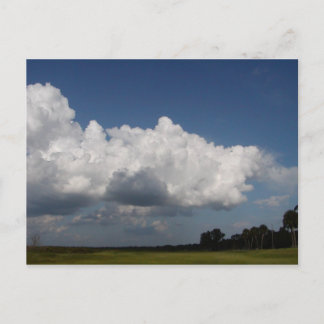 Carte Postale Yonder bleu sauvage