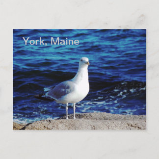 Carte postale York, Maine