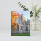 Carte postale York Minster (Debout devant)