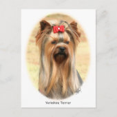 Carte Postale Yorkie (Devant)