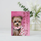 CARTE POSTALE YORKIE (Debout devant)