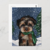 CARTE POSTALE YORKIE (Devant / Derrière)