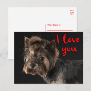 Carte Postale Yorkie chiot mignon chien Terrier Yorkshire Amour
