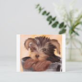 Carte Postale Yorkie dans votre Coupe (Debout devant)