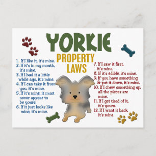 Carte Postale Yorkie Lois sur la propriété 4