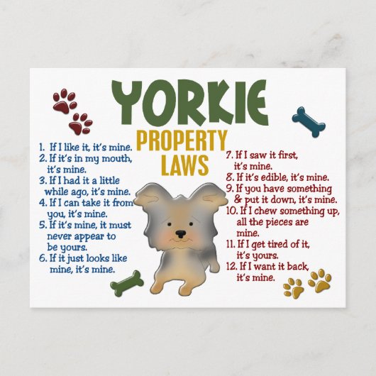 Carte Postale Yorkie Lois sur la propriété 4 (Devant)