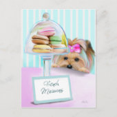 Carte Postale Yorkie Macarons (Devant)