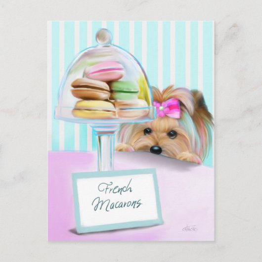Carte Postale Yorkie Macarons (Devant)