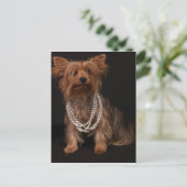Carte postale Yorkie Pearls (Debout devant)
