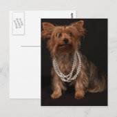 Carte postale Yorkie Pearls (Devant / Derrière)