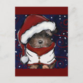 Carte Postale Yorkie Poo (Devant)