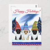 CARTE POSTALE YORKIE POO (Devant / Derrière)