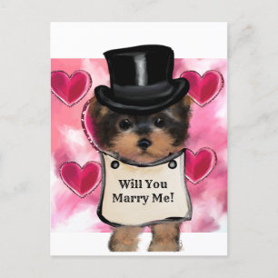 Carte Postale Yorkie Poo  