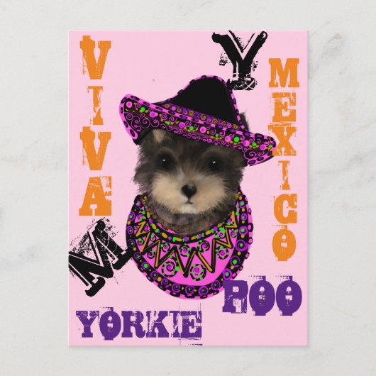 Carte Postale Yorkie Poo (Devant)