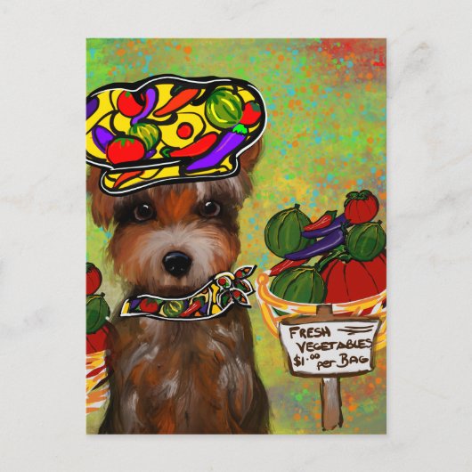 Carte Postale Yorkie Poo (Devant)