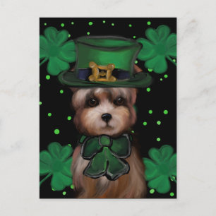 Carte Postale Yorkie Poo