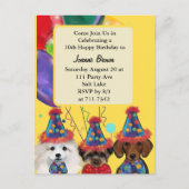 Carte Postale Yorkie Poo  (Devant)