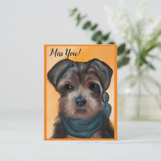 CARTE POSTALE YORKIE POO          (Debout devant)