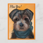 CARTE POSTALE YORKIE POO          (Devant)