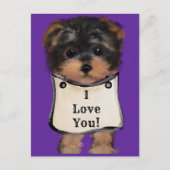 Carte Postale Yorkie Poo (Devant)