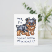 Carte Postale Yorkie pourri (Debout devant)