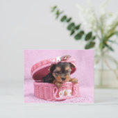 Carte Postale Yorkie rose (Debout devant)