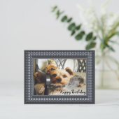 Carte Postale Yorkie sur un banc (Debout devant)