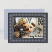 Carte Postale Yorkie sur un banc (Devant / Derrière)