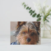 Carte postale Yorkie Terrier (Debout devant)