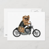 Carte Postale Yorkie Yorkshire Terrier Biker (Devant / Derrière)