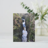 Carte Postale Yorkshire Dales, Baxengyhll Gorge Waterfall (Debout devant)